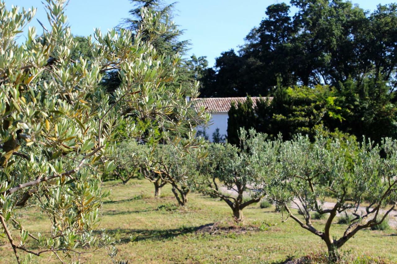 B&B Mas De Caustes Saint-Remy-de-Provence Bagian luar foto