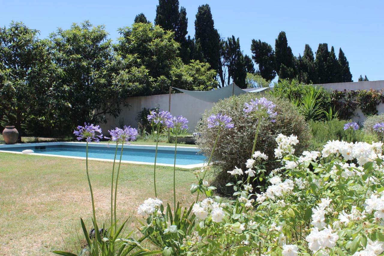 B&B Mas De Caustes Saint-Remy-de-Provence Bagian luar foto