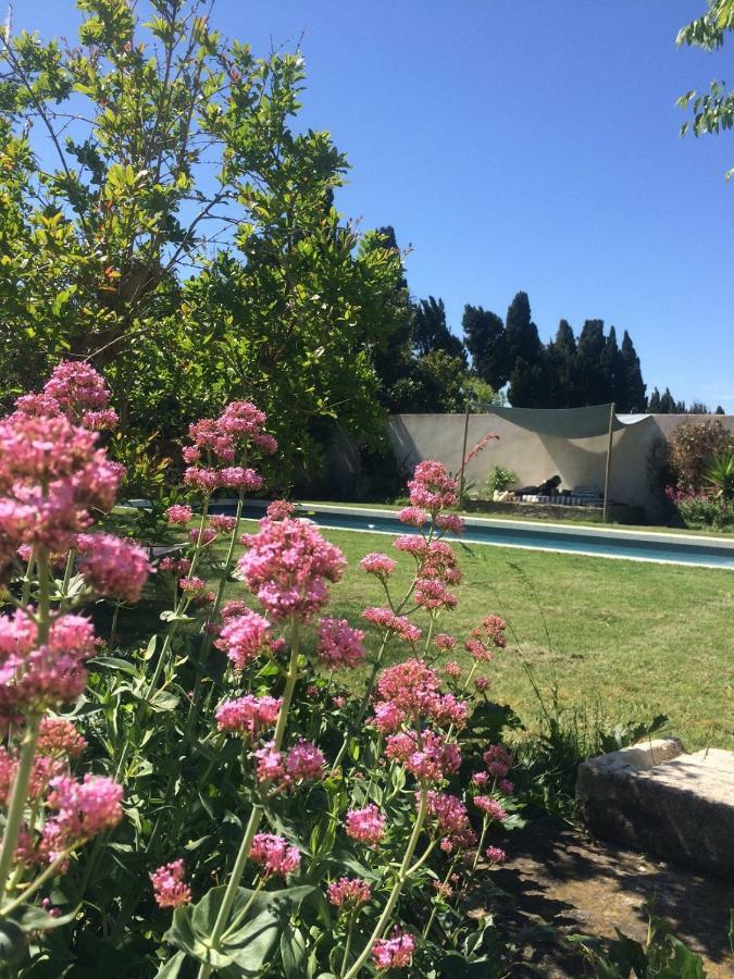B&B Mas De Caustes Saint-Remy-de-Provence Bagian luar foto