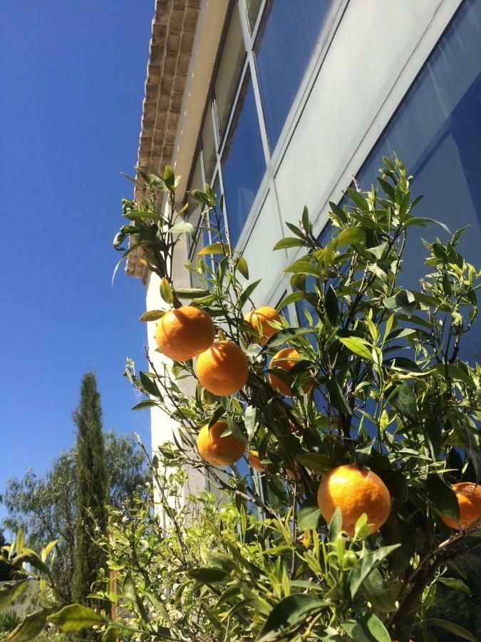 B&B Mas De Caustes Saint-Remy-de-Provence Bagian luar foto
