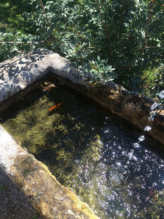 B&B Mas De Caustes Saint-Remy-de-Provence Bagian luar foto
