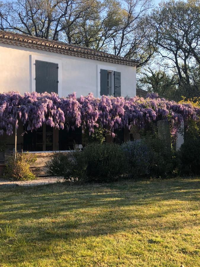 B&B Mas De Caustes Saint-Remy-de-Provence Bagian luar foto
